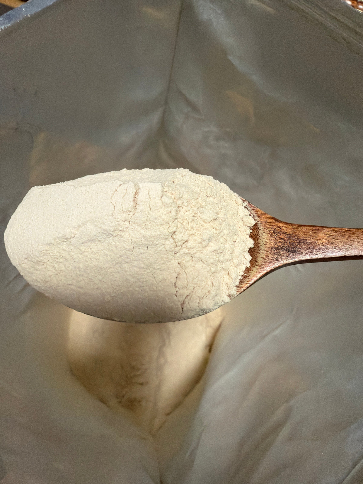 Onion Powder Organic
