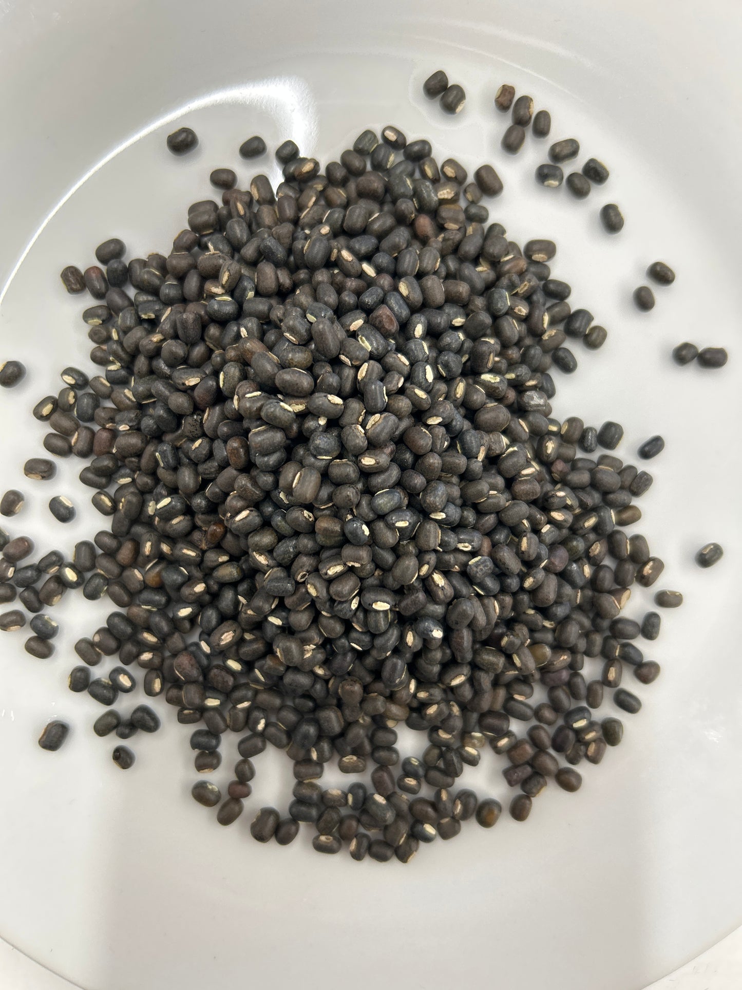 Black Mung Beans Organic