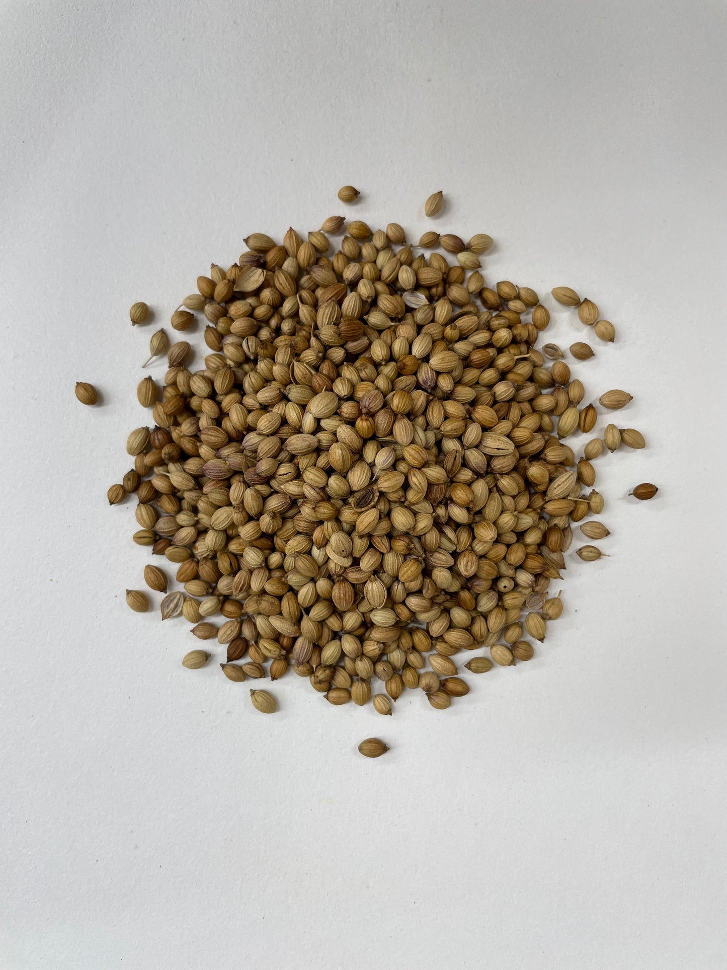Whole Coriander Organic