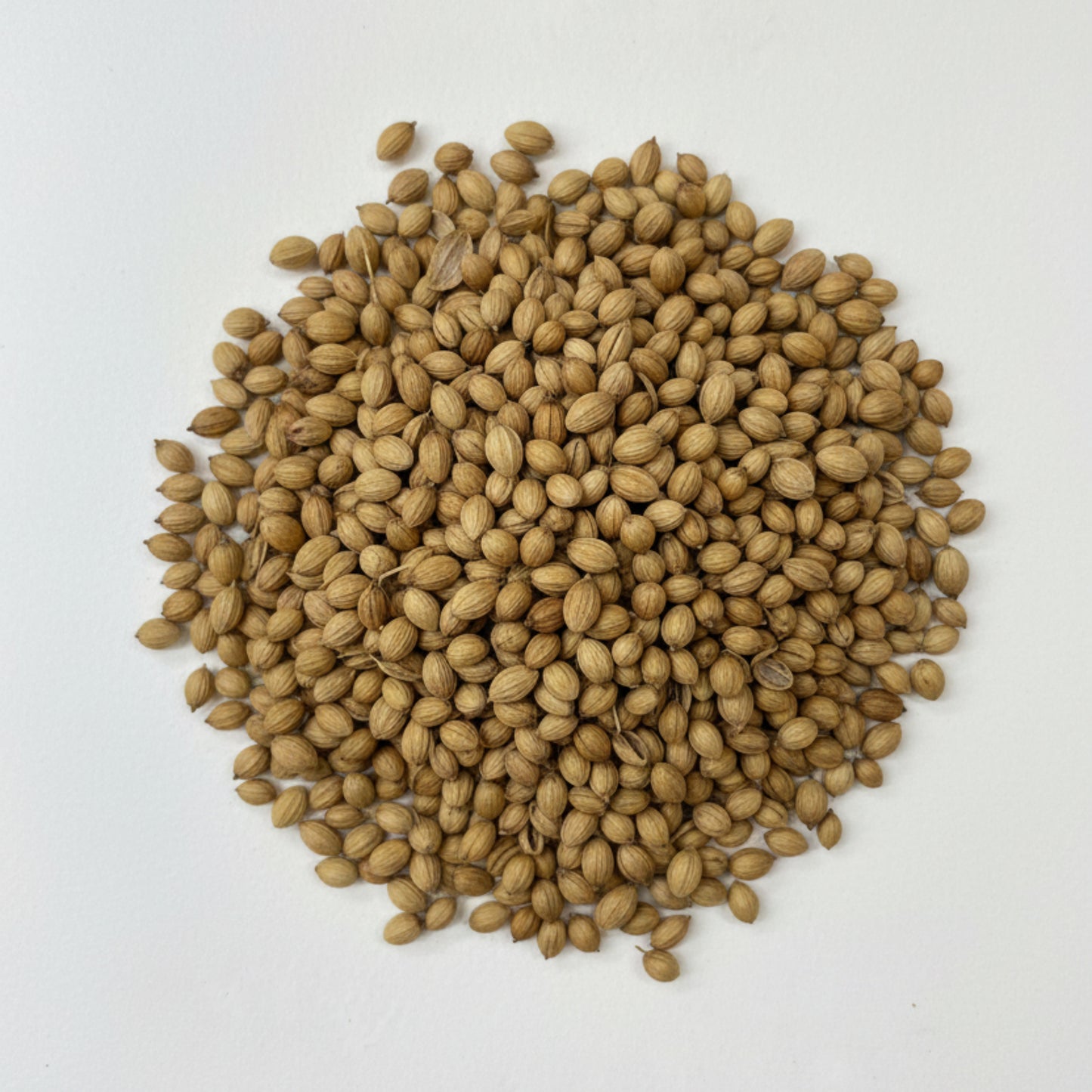 Whole Coriander Organic