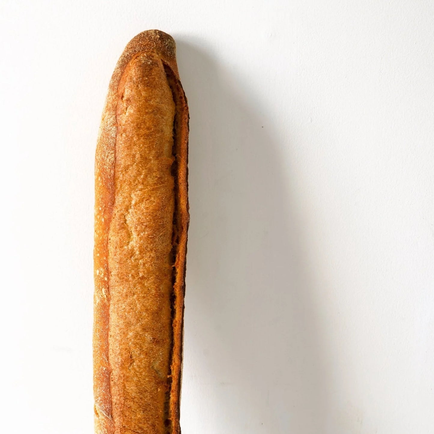 Daily Bread Baguette