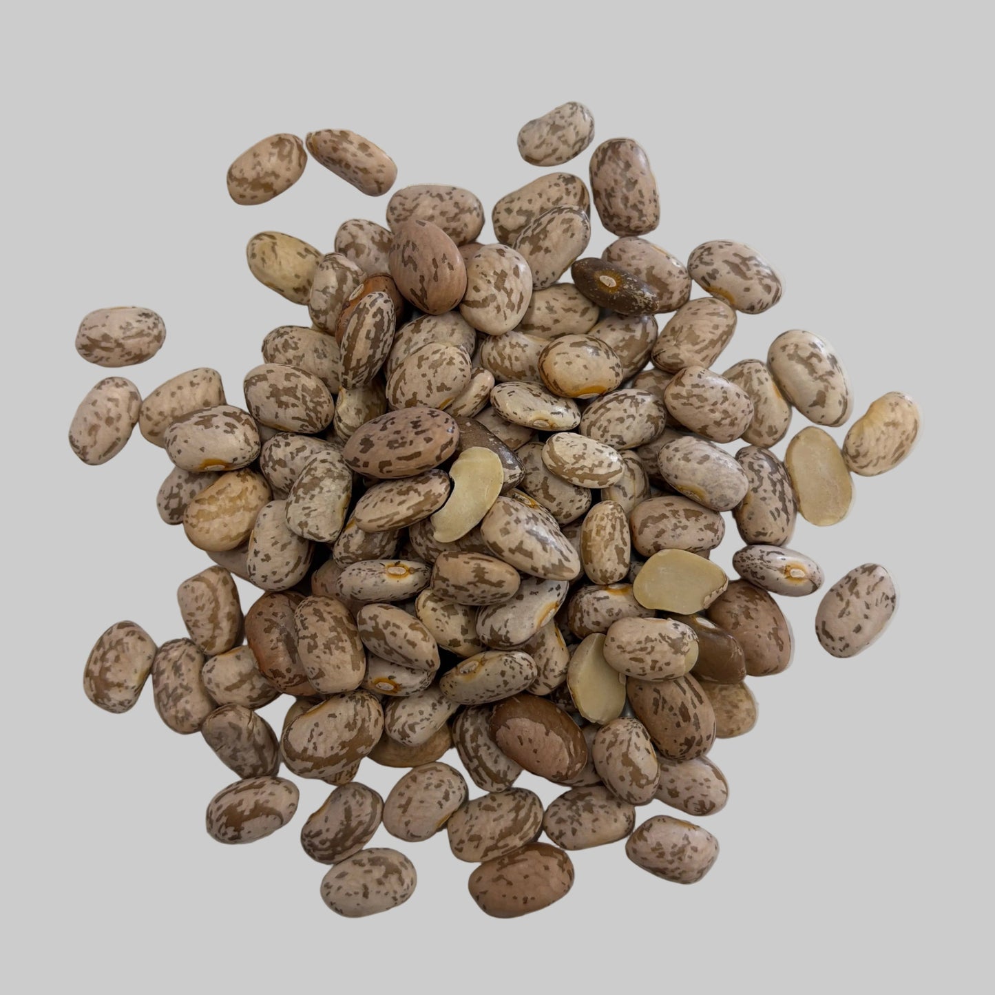 Pinto Beans