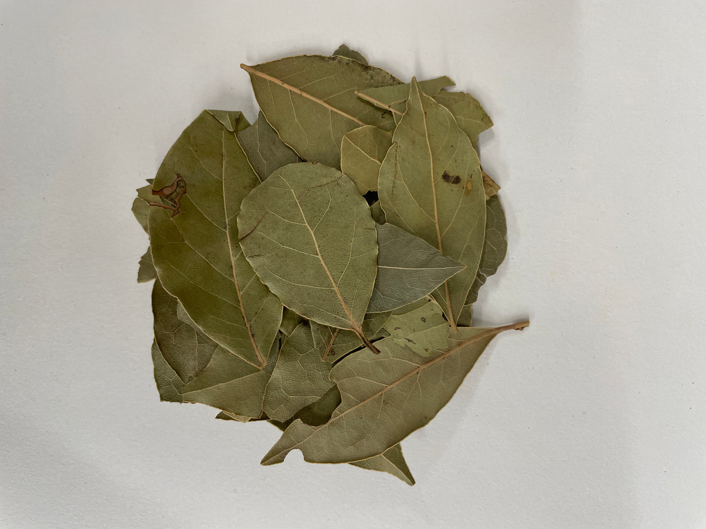 Bay Leaves