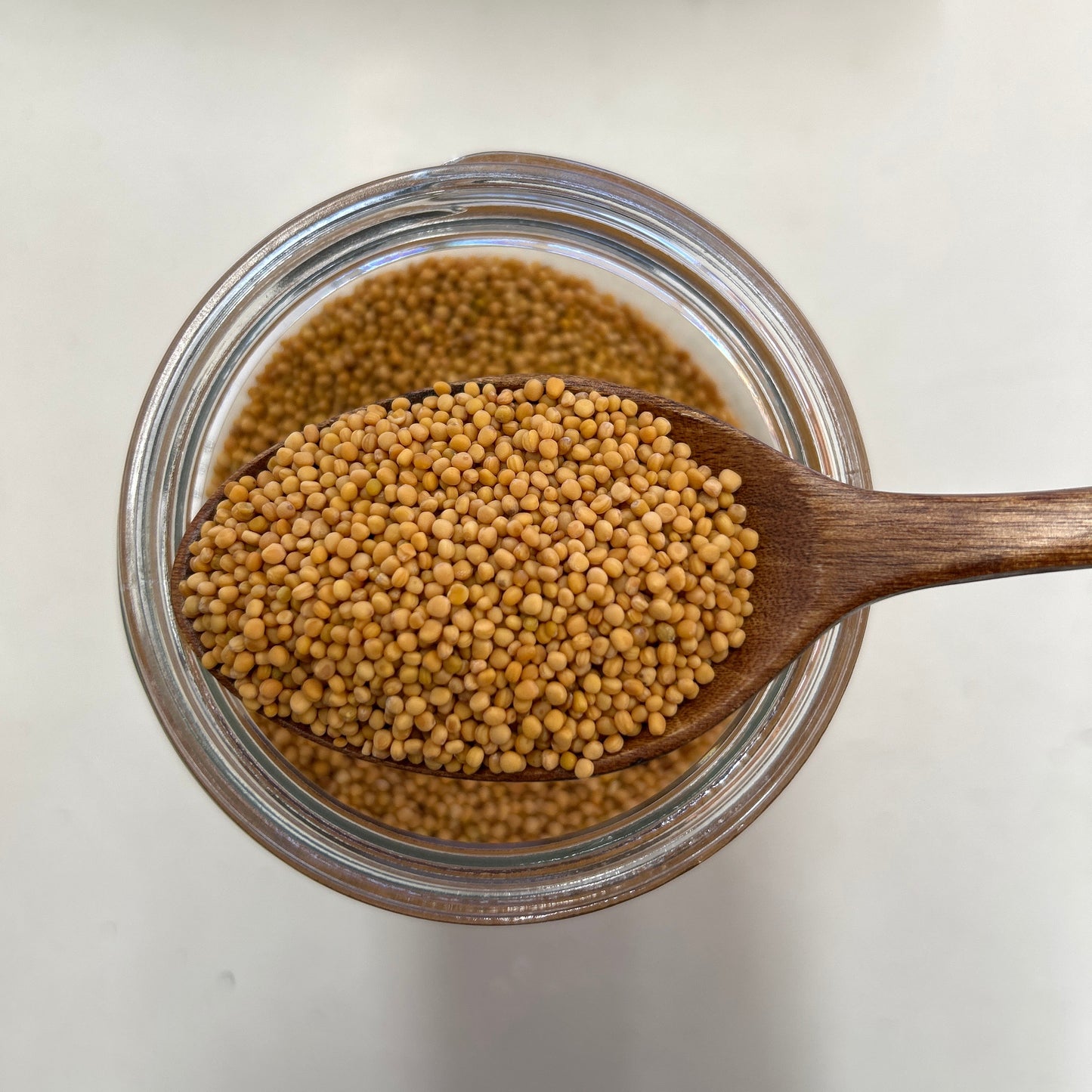 Yellow Mustard Seeds