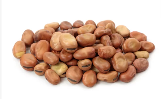 Fava Beans