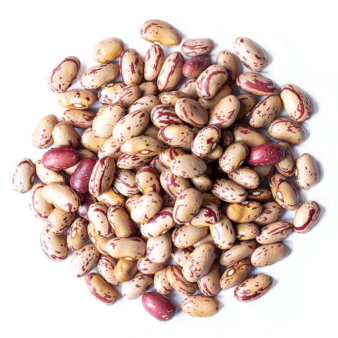 Pinto Beans