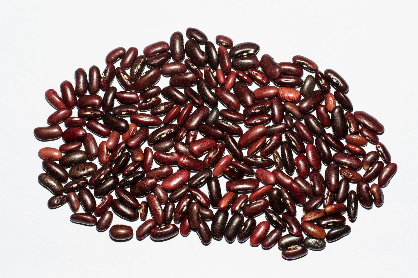 Red Kidney Beans