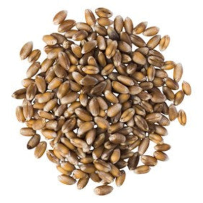 Whole Wheat Dressed Organic