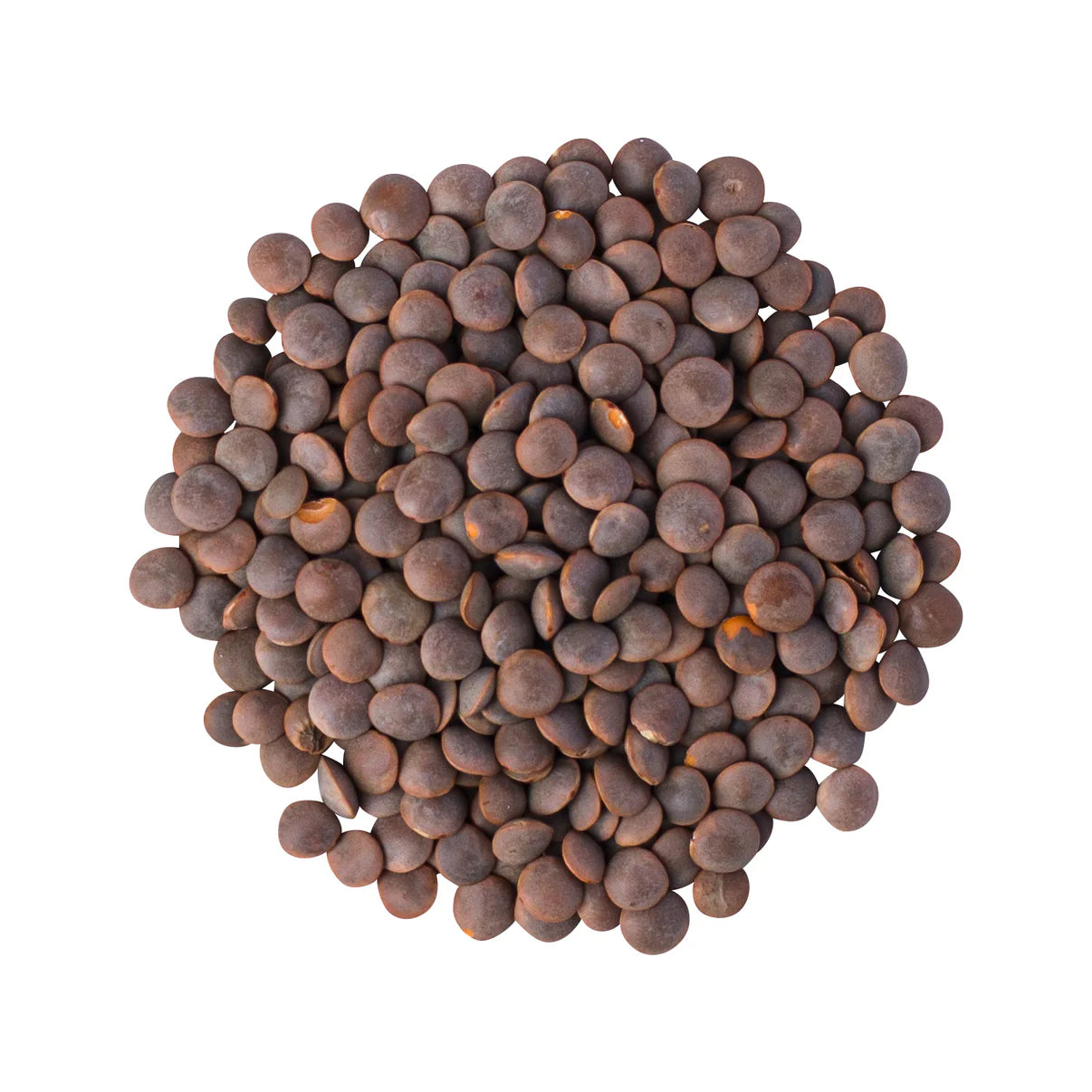 Brown Lentils Organic