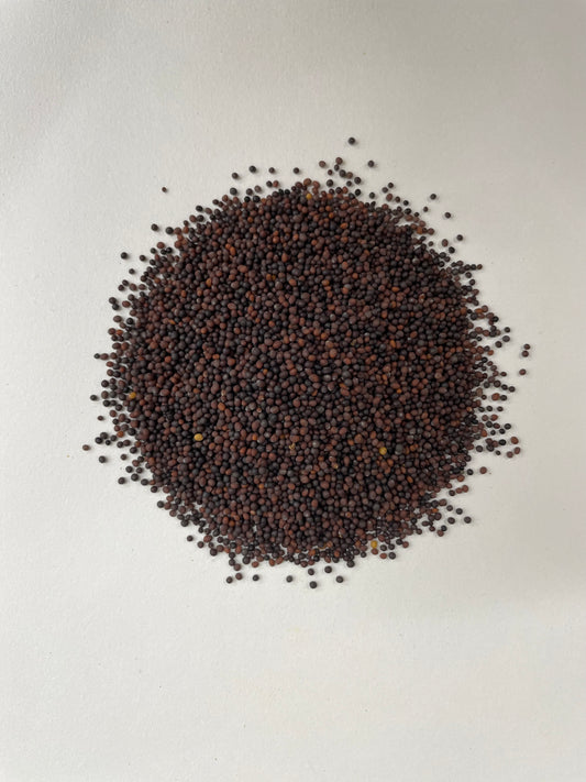 Black Mustard Seeds