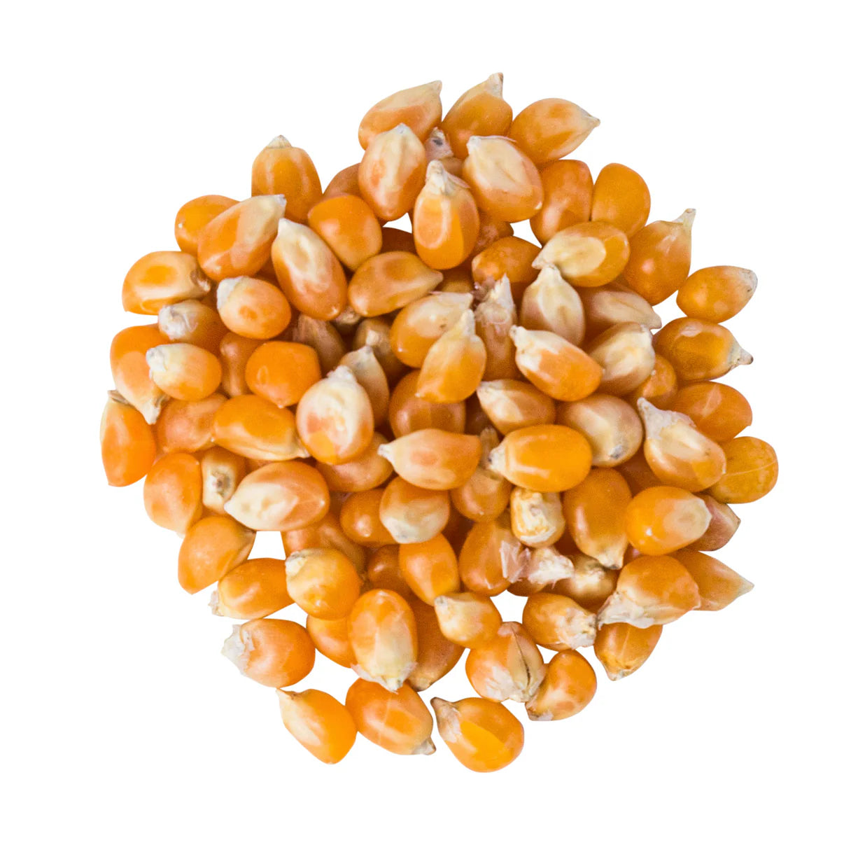 Popcorn Kernels Organic