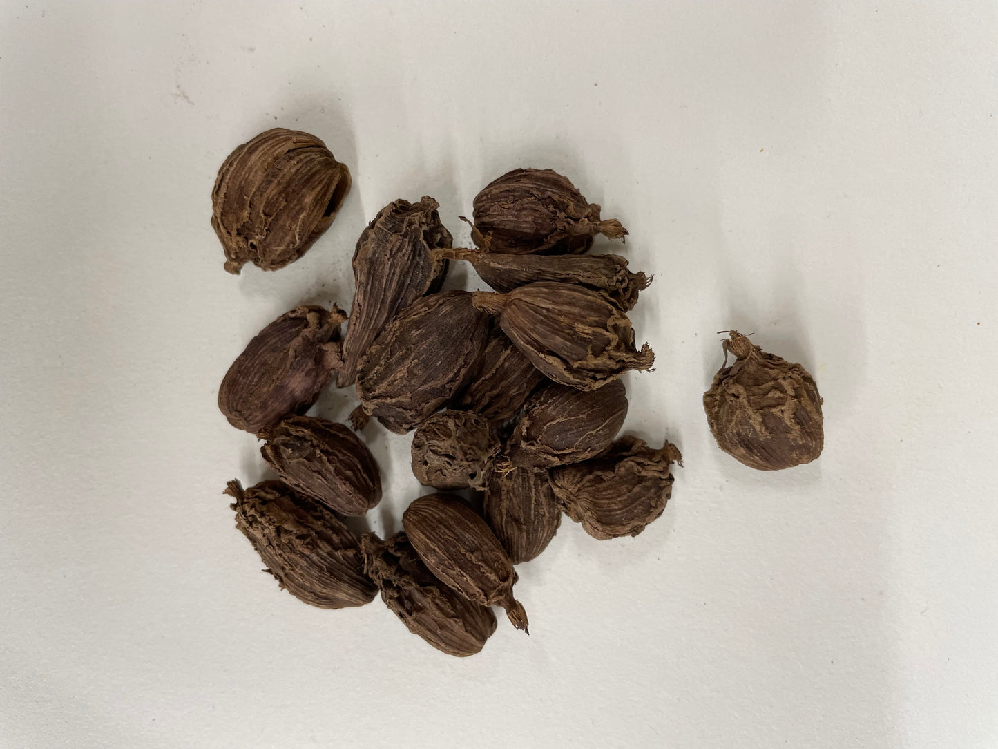 Black Cardamom Pods