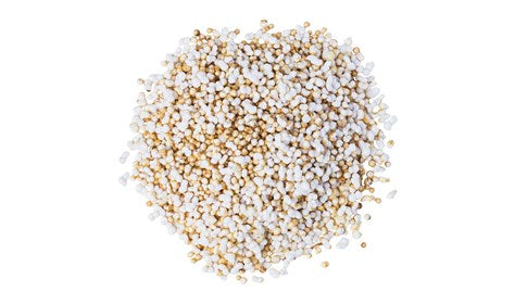 Puffed Amaranth Organic