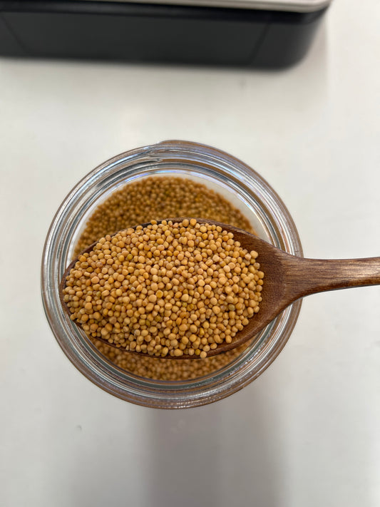 Yellow Mustard Seeds