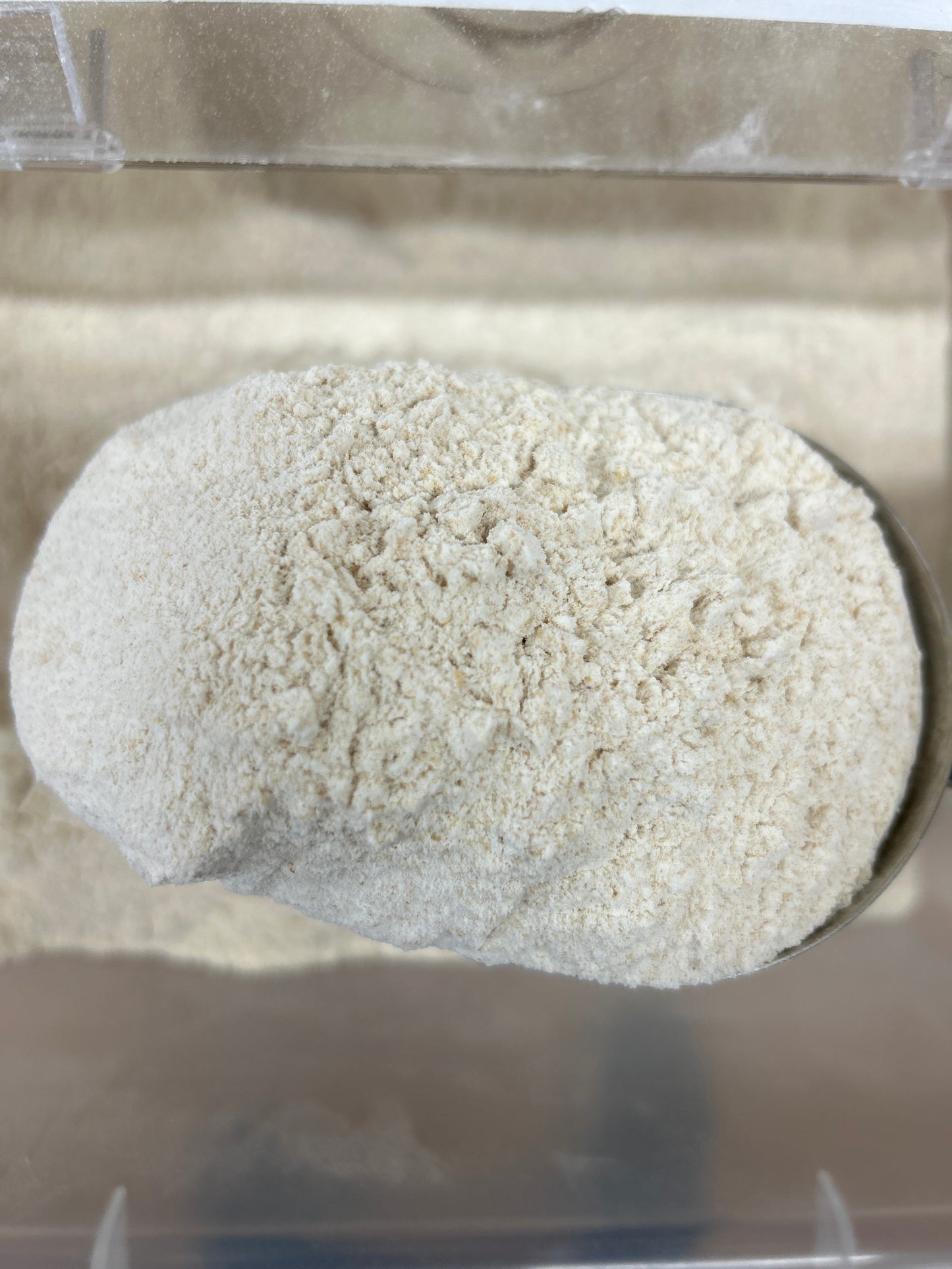 Rollermilled Wholemeal Flour Organic