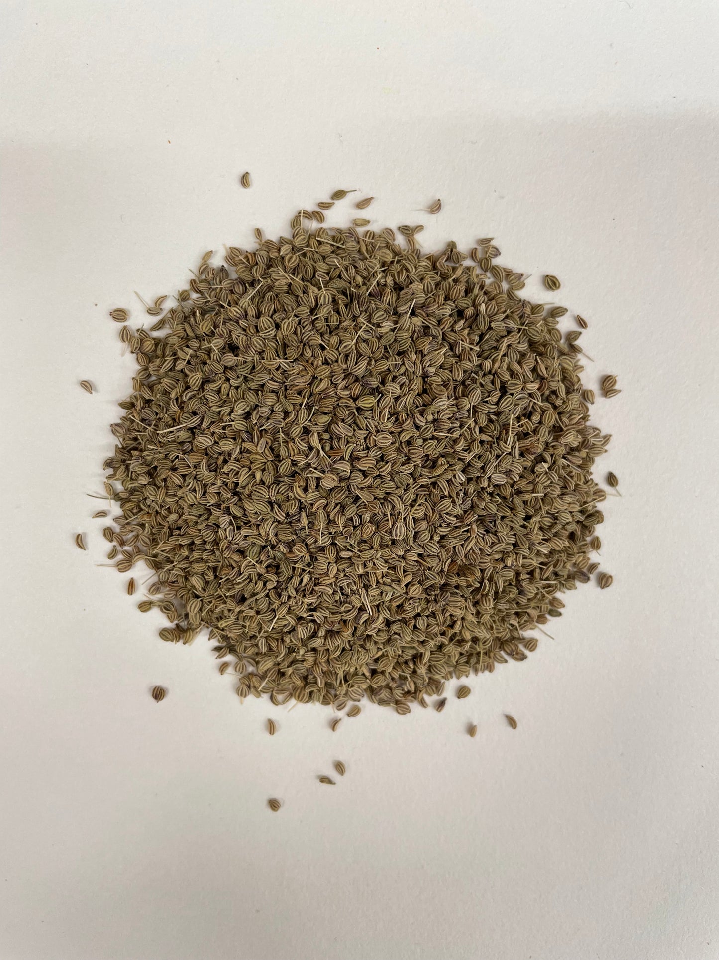 Carom Seeds/Ajwain