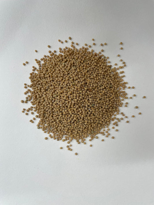 Yellow Mustard Seeds