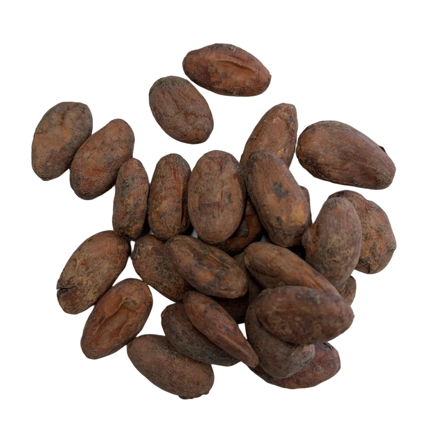 Raw Cacao Beans Organic