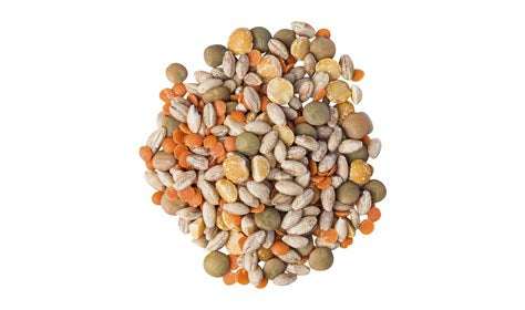 Soup Mix Organic